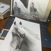 Horse Tone Understanding Lesson . Un projet de Aquarelle de Natalya Burgos - 27.10.2023