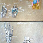 Mi proyecto del curso: Dibujo anatómico de extremidades, manos y pies. Fine Arts, Sketching, Pencil Drawing, Drawing, Portrait Drawing, Realistic Drawing, Artistic Drawing, Sketchbook, Figure Drawing & Ink Illustration project by Marisol Velasquez - 10.27.2023