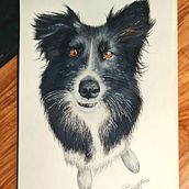 Buntstiftzeichnung Hund. Un proyecto de Dibujo y Dibujo realista de Bettina D - 27.10.2023
