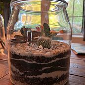 My project for course: Plant Art: Create Your Own Open Terrarium . Interior Design, L, scape Architecture, Decoration, DIY, Floral, and Plant Design project by caciadaye - 10.28.2023