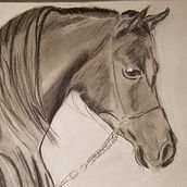 My project for course: Realistic Wildlife Images in Graphite Pencil. Fine Arts, Pencil Drawing, Drawing, Realistic Drawing, and Naturalistic Illustration project by cristoneuk - 10.28.2023
