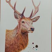Ejercicio Ciervo - Curso Retratos expresivos de animales en acuarela de Sarah Stokes. Traditional illustration, Painting, and Watercolor Painting project by Ezequiel Ramírez - 10.29.2023