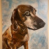 My project for course: Realistic Pet Portraits with Oil Painting. Un progetto di Belle arti, Pittura, Pittura ad olio e Illustrazione naturalistica di Lnka Rusnakova - 30.10.2023