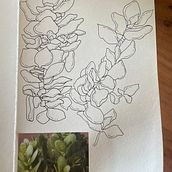 My project for course: Botanical Sketchbooking: A Meditative Approach. Un progetto di Illustrazione tradizionale, Bozzetti, Disegno, Pittura ad acquerello, Illustrazione botanica e Sketchbook di Hayley Humphreys - 31.10.2023