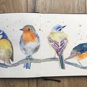 My project for course: Artistic Watercolor Techniques for Illustrating Birds. Watercolor Painting, Realistic Drawing, Naturalistic Illustration, and Traditional illustration project by Marie-Astrid Le Calvez - 11.01.2023