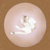 The cats I once catsat. Digital Illustration project by Christina Papadaki - 11.01.2023