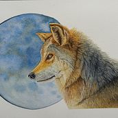 Mi proyecto del curso: Retratos expresivos de animales en acuarela. Traditional illustration, Watercolor Painting, Realistic Drawing, and Naturalistic Illustration project by Ezequiel Ramírez - 11.03.2023