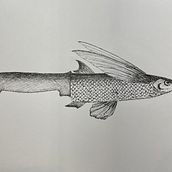 Mon projet du cours : Illustration surréaliste au feutre fin. Traditional illustration, Pencil Drawing, Drawing, Realistic Drawing, Artistic Drawing & Ink Illustration project by Sophie Ponti - 11.03.2023