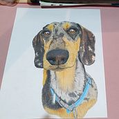 Mi proyecto del curso: Retratos de Mascotas en Lápices de Colores. Traditional illustration, and Naturalistic Illustration project by Blanco Daniela - 11.04.2023