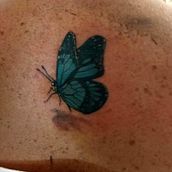 Butterfly - color realism tattoo. Design, and Tattoo Design project by Martin B - 11.04.2023