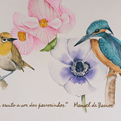 Meu projeto do curso: Técnicas expressivas de aquarela para ilustração de pássaros. Traditional illustration, Watercolor Painting, Realistic Drawing, and Naturalistic Illustration project by Edi Assis - 11.04.2023