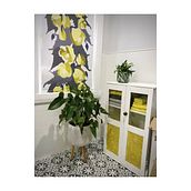 Bathroom Blind. Interior Design, Arts, Crafts, Product Design, and Vector Illustration project by Kristi Robertson - 11.05.2023