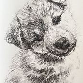 Charcoal Drawing of Spencer. Un projet de Beaux Arts, Dessin, Illustration à l'encre et Illustration naturaliste de Diane Quee - 05.11.2023