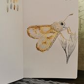 My project for course: Daily Sketching for Creative Inspiration. Traditional illustration, Sketching, Creativit, Drawing, and Sketchbook project by Karola Kruk - 11.06.2023