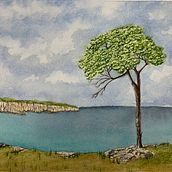 Maritime Pine tree  from the Mediterranean Sea area; dry brush method course with Valentina Grilli. Fine Arts project by Liam - 11.06.2023