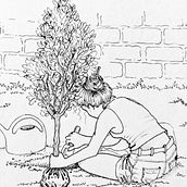 Paixão por árvores. Un proyecto de Dibujo de Josiane Mattos - 05.11.2023