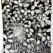 My project for course: Dip Pen and Ink Illustration: Capturing The Natural World. Sketching, Drawing, Artistic Drawing, Sketchbook, Ink Illustration, and Naturalistic Illustration project by naraerosayoo - 11.07.2023