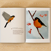 Mój projekt z kursu: Ilustracja dzikiej przyrody w książkach dla dzieci. Un progetto di Illustrazione vettoriale, Illustrazione digitale e Illustrazione infantile di polcia229 - 07.11.2023