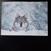 Il mio progetto del corso: Ritratti espressivi di animali ad acquerello. Un proyecto de Ilustración tradicional, Pintura a la acuarela, Dibujo realista e Ilustración naturalista				 de c.rigoni - 08.11.2023