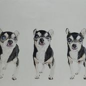 Mi proyecto del curso: Retratos de Mascotas en Lápices de Colores. Traditional illustration, and Naturalistic Illustration project by olga_carcelen - 11.09.2023