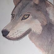 Mi proyecto del curso: Técnicas experimentales de acuarela para principiantes. Un proyecto de Ilustración tradicional, Bellas Artes, Pintura a la acuarela e Ilustración naturalista				 de maestraelenn - 20.11.2023