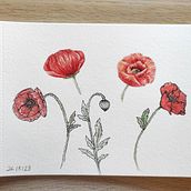 Mi proyecto del curso: Cuaderno botánico en acuarela. Un progetto di Illustrazione tradizionale, Pittura ad acquerello, Illustrazione botanica e Sketchbook di Maribel - 25.05.2023