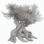 Il mio progetto del corso: Illustrazione surrealista con pennarelli . Menggambar, Ilustrasi Tinta, Ilustrasi tradisional, Gambar Pensil, Gambar Realistis, Dan Menggambar Artistik proyek oleh vilamela - 11.10.2023