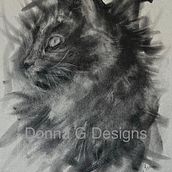 Loose Style Cat. Sketching, Drawing, and Artistic Drawing project by Donna G - 11.12.2023