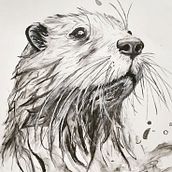 Mi proyecto del curso: Retratos expresivos de animales en acuarela. Un proyecto de Ilustración tradicional, Dibujo realista, Ilustración naturalista				 y Pintura a la acuarela de mariajosegarciagunther - 04.11.2023