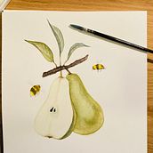 Mon projet du cours : Illustration botanique réaliste : évadez-vous dans la nature. Painting, Watercolor Painting, Botanical Illustration, and Naturalistic Illustration project by misscee - 11.12.2023