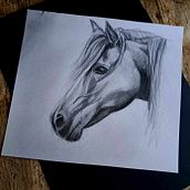 Mon projet du cours : Images réalistes de la faune au crayon graphite. Fine Arts, Pencil Drawing, Drawing, Realistic Drawing, and Naturalistic Illustration project by Tifanie Poglajen - 11.12.2023