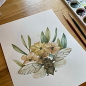 My project for course: Naturalist Illustrations with Watercolors: Drawing and Composition. Un projet de Illustration traditionnelle, Dessin, Aquarelle et Illustration naturaliste de Kelly Radvansky - 13.11.2023