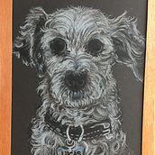 “LUCAS”. Een project van  Tekening van Gabriela Ríos Oviedo - 13.11.2023