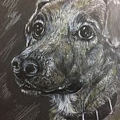 “El buen Bolillo”. Een project van  Tekening van Gabriela Ríos Oviedo - 13.11.2023