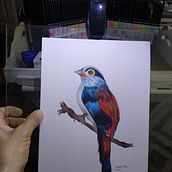 Dibujo lápiz de colores  Ein Projekt aus dem Bereich Bleistiftzeichnung von Daniel Pirez - 15.11.2023