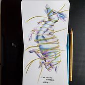 Mon projet du cours : Illustration surréaliste inspirée par la nature . % Marie Bertin tarafından hazırlanan Geleneksel illüstras, on, Kalem Çizimi, Çizim, Sanatsal Çizim, Doğalcı İllüstras, on, Ve Renkli Kalem Çizimi projesi - 11.15.2023