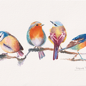 Mi proyecto del curso: Acuarela artística para ilustración de aves. Traditional illustration, Watercolor Painting, Realistic Drawing, and Naturalistic Illustration project by Virginia Torres - 11.16.2023