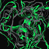 Freehand Liquify Ein Projekt aus dem Bereich Digitales Design von Daniel Gil - 16.11.2023