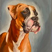 My project for course: Realistic Pet Portraits with Oil Painting Ein Projekt aus dem Bereich Bildende Künste, Malerei, Ölmalerei und Naturalistische Illustration von zoeybaloey - 16.11.2023
