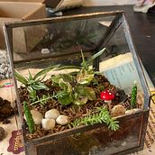 Mi proyecto del curso: Creación de terrarios con la técnica Tiffany. Un progetto di Design di accessori, Interior design, Interior Design, DIY e Design floreale e vegetale di Cielo Patiño - 17.11.2023