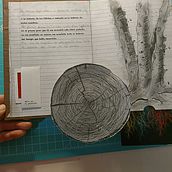 Il mio progetto del corso: Libri pop-up interattivi: crea mondi paralleli con la carta. Un progetto di Artigianato, Design editoriale, Papercraft, Rilegatura e Creatività con i bambini di Angela - 17.11.2023