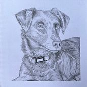 Retrato Canela. Un progetto di Illustrazione tradizionale di Maria Fernanda Sosa Arenas - 18.11.2023