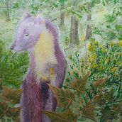 My project for course: Illustrating Nature: A Creative Exploration. Traditional illustration, Painting, Drawing, Watercolor Painting, Ink Illustration, and Naturalistic Illustration project by Linda Noon - 11.08.2023