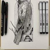 Mi proyecto del curso: Ilustración realista de pájaros con elementos creativos. Ink Illustration, Naturalistic Illustration, Pencil Drawing, and Drawing project by Kin Ruiz - 11.17.2023