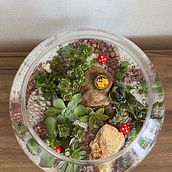 Mi proyecto del curso: Arte vegetal: crea tu propio terrario abierto. Interior Design, L, scape Architecture, Decoration, DIY, Floral, and Plant Design project by cami.puente.f - 11.20.2023