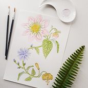Il mio progetto del corso: Acquerello realistico per composizioni botaniche. Traditional illustration, Painting, Drawing, Watercolor Painting, and Botanical Illustration project by Silvia - 11.20.2023