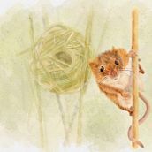Digital watercolor painting. Digital Painting project by Elly Vaes - 11.20.2023