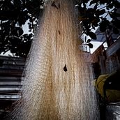 pescaria . Een project van Mobiele fotografie,  Creativiteit y Artistieke fotografie van cantodarvoremflor - 20.11.2023