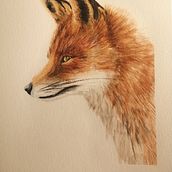 Mon projet du cours : Portraits expressifs d'animaux à l'aquarelle. Traditional illustration, Watercolor Painting, Realistic Drawing, and Naturalistic Illustration project by Aurelie Aquadess - 01.10.2023