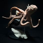 Sculpture "D.O.". Un progetto di Scultura di Ewelina Lesik - 20.11.2023